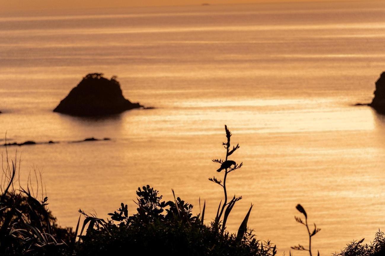 Cathedral Cove And Sunrise Lejlighed Hahei Eksteriør billede
