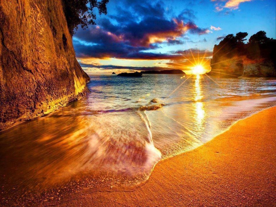 Cathedral Cove And Sunrise Lejlighed Hahei Eksteriør billede